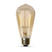 Incandescent Light Bulbs Feit 40ST19 40W ST19 Vintage Amber Incandescent Light Bulb Feit Electric