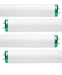 T8 Fluorescent F25T8 Light Bulbs 25 Watt 85 CRI (100 pieces per case) $2.15 each Radiant-Lite