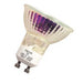 Halco - MR16FL35/L/GU10 - MR16 Halogen Flood with Lens 35W 120V 2800K GU10 Dimm product image