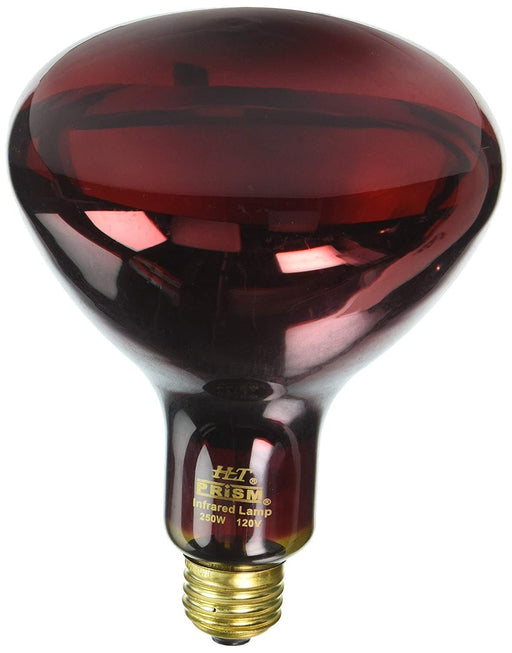 Halco - R40RED250/10/CSTF - Covershield Incandescent R40 Red Flood 250W E26 120V Dimm product image