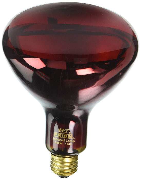 Halco - R40RED250/10/CSTF - Covershield Incandescent R40 Red Flood 250W E26 120V Dimm product image