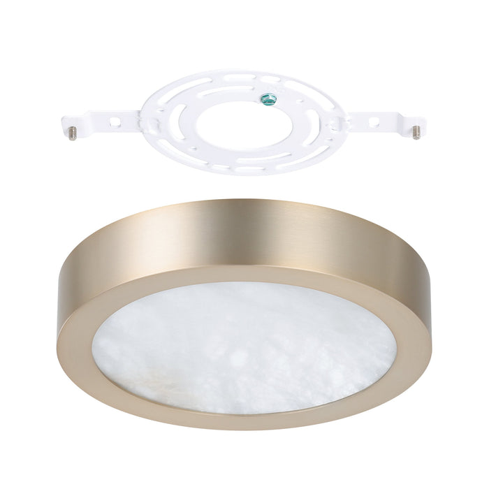 Flush Mount Thesis 207614A Argyle 8 inch Champagne Gold and Natural Alabaster 5CCT LED Flush Mount THESIS