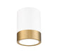 Flush Mount Z-Lite 1006F6-MW-MGLD-LED Matte White + Modern Gold Algar 1 Light Flush Mount Z-Lite