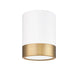 Flush Mount Z-Lite 1006F6-MW-MGLD-LED Matte White + Modern Gold Algar 1 Light Flush Mount Z-Lite