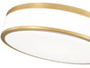 Flush Mount Z-Lite 1012F16-MGLD-LED Modern Gold Ballord 1 Light Flush Mount Z-Lite
