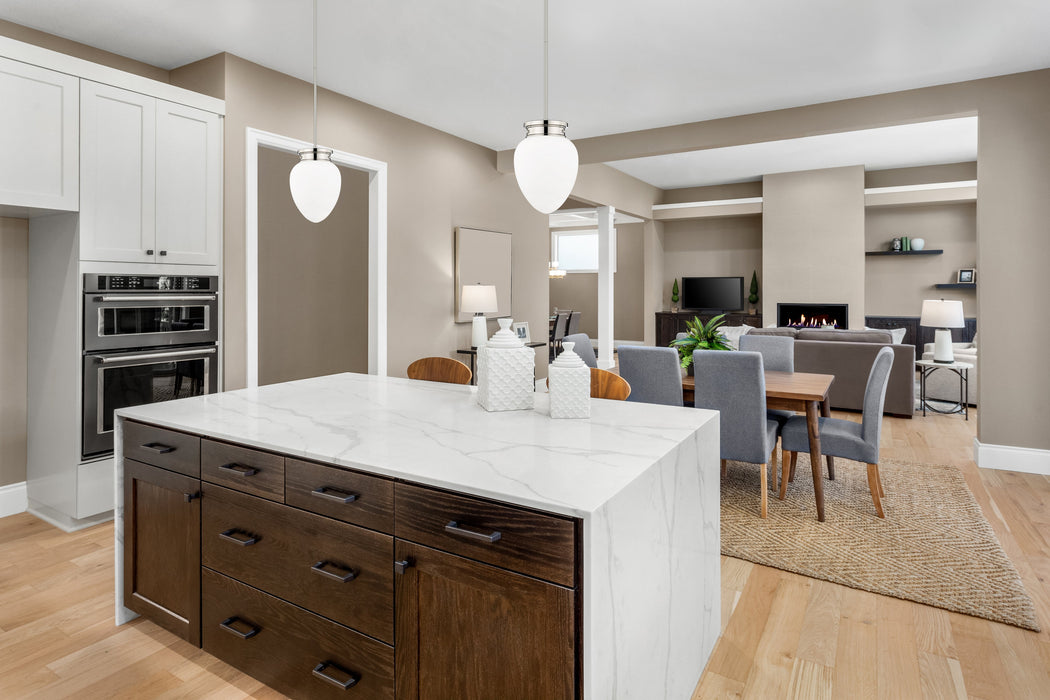 Pendant Z-Lite 1945P9-PN Polished Nickel Gideon 1 Light Pendant Z-Lite