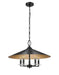 Pendant Z-Lite 1953-22MB Matte Black Rialto 5 Light Pendant Z-Lite