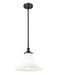 Pendant Z-Lite 1958P12-MB Matte Black Fleur 1 Light Pendant Z-Lite