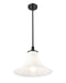 Pendant Z-Lite 1958P16-MB Matte Black Fleur 1 Light Pendant Z-Lite