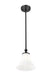 Pendant Z-Lite 1958P8-MB Matte Black Fleur 1 Light Pendant Z-Lite
