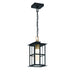 Eurofase 47388-017 Greyson 16" Brass-Black Mix LED Pendant Light