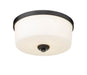 Flush Mount Z-Lite 220F3-MB Matte Black Arlington 3 Light Flush Mount Z-Lite