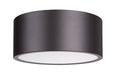 Flush Mount Z-Lite 2302F2-BRZ Bronze Harley 2 Light Flush Mount Z-Lite