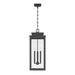 Exterior Pendant Light Thesis 207748A Hillside 11 inch 3 light Textured Black Exterior Pendant Light with Clear Glass THESIS