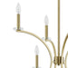 Chandelier Thesis 206935A Florian 44 inch 8 light Brushed Gold and Clear Glass Chandelier THESIS