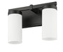 Vanity Z-Lite 3044-2V-MB Matte Black Danica 2 Light Vanity Z-Lite