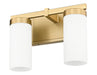 Vanity Z-Lite 3044-2V-MGLD Modern Gold Danica 2 Light Vanity Z-Lite