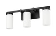 Vanity Z-Lite 3044-3V-MB Matte Black Danica 3 Light Vanity Z-Lite