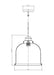 Pendant Z-Lite 337P12BN Brushed Nickel Burren 1 Light Pendant Z-Lite