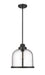 Pendant Z-Lite 337P12MB Matte Black Burren 1 Light Pendant Z-Lite
