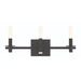 Eurofase 45234-035 Torna 24" Matte Black LED Vanity Light