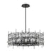 Chandelier Z-Lite 4007-32MB Matte Black Garroway 9 Light Chandelier Z-Lite