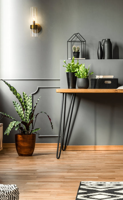 Wall Sconce Z-Lite 4008-1S-RB Rubbed Brass Datus 1 Light Wall Sconce Z-Lite