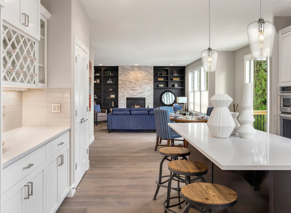 Pendant Z-Lite 473P9-CH Chrome Joliet 1 Light Pendant Z-Lite