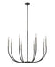 Chandelier Z-Lite 479-8MB-BN Matte Black + Brushed Nickel Haylie 8 Light Chandelier Z-Lite