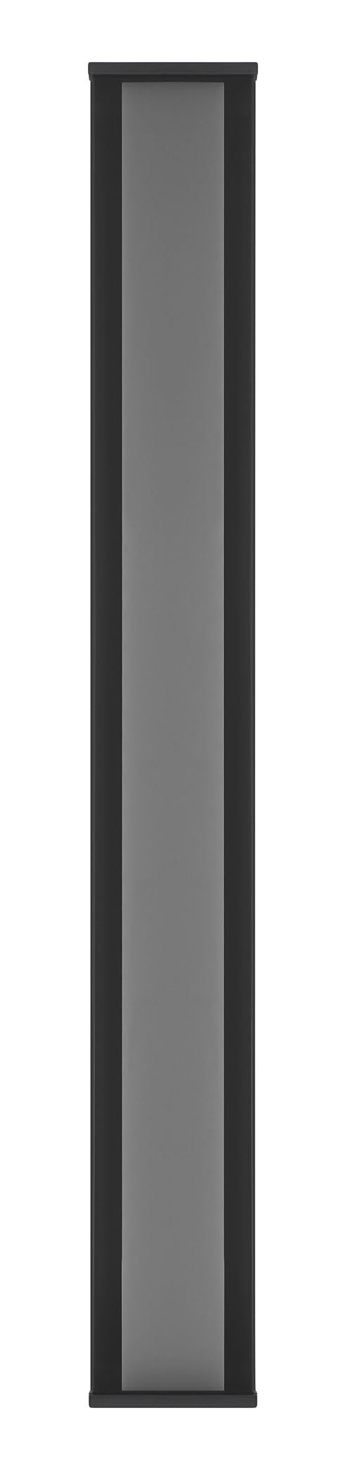 Eurofase 50113-019 Dulton 42" Matte Black LED Outdoor Wall Light