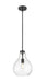 Pendant Z-Lite 496P10-MB Matte Black Bon Air 1 Light Pendant Z-Lite