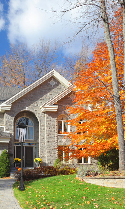 Outdoor Post Mounted Fixture Z-Lite 5008PHXXLR-564P-BK Black Gannon 5 Light Outdoor Post Mounted Fixture Z-Lite