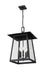 Outdoor Chain Mount Ceiling Fixture Z-Lite 5015CHXL-BK Black Rainer 5 Light Outdoor Chain Mount Ceiling Fixture Z-Lite