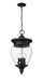 Outdoor Chain Mount Ceiling Fixture Z-Lite 5016CHB-BK Black Davina 4 Light Outdoor Chain Mount Ceiling Fixture Z-Lite