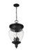 Outdoor Chain Mount Ceiling Fixture Z-Lite 5016CHB-BK Black Davina 4 Light Outdoor Chain Mount Ceiling Fixture Z-Lite