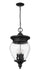 Outdoor Chain Mount Ceiling Fixture Z-Lite 5016CHB-BK Black Davina 4 Light Outdoor Chain Mount Ceiling Fixture Z-Lite