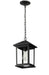 Outdoor Chain Mount Ceiling Fixture Z-Lite 531CHM-BK Black Portland 1 Light Outdoor Chain Mount Ceiling Fixture Z-Lite