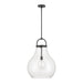 Pendant Light Thesis 207645A Mansfield 18 inch 1 light Matte Black Pendant Light with Clear Glass Shade THESIS