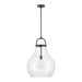 Pendant Light Thesis 207645A Mansfield 18 inch 1 light Matte Black Pendant Light with Clear Glass Shade THESIS