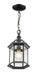 Outdoor Chain Mount Ceiling Fixture Z-Lite 563CHM-BK Black Annex 1 Light Outdoor Chain Mount Ceiling Fixture Z-Lite
