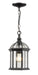 Outdoor Chain Mount Ceiling Fixture Z-Lite 563CHM-BK Black Annex 1 Light Outdoor Chain Mount Ceiling Fixture Z-Lite