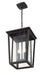 Outdoor Chain Mount Ceiling Fixture Z-Lite 571CHB-BK Black Seoul 2 Light Outdoor Chain Mount Ceiling Fixture Z-Lite