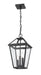 Outdoor Chain Mount Ceiling Fixture Z-Lite 579CHB-BK Black Talbot 3 Light Outdoor Chain Mount Ceiling Fixture Z-Lite