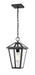 Outdoor Chain Mount Ceiling Fixture Z-Lite 579CHM-BK Black Talbot 1 Light Outdoor Chain Mount Ceiling Fixture Z-Lite