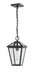 Outdoor Chain Mount Ceiling Fixture Z-Lite 579CHM-BK Black Talbot 1 Light Outdoor Chain Mount Ceiling Fixture Z-Lite