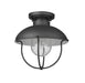 Outdoor Flush Mount Z-Lite 590F-BK Black Ansel 1 Light Outdoor Flush Mount Z-Lite