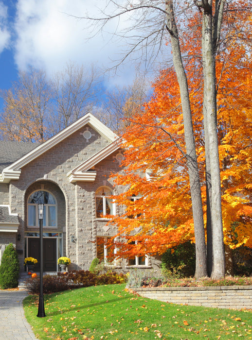 Outdoor Post Mounted Fixture Z-Lite 591PHB-519P-BK Black Helix 1 Light Outdoor Post Mounted Fixture Z-Lite