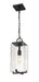 Outdoor Chain Mount Ceiling Fixture Z-Lite 592CHM-BK Black Sana 1 Light Outdoor Chain Mount Ceiling Fixture Z-Lite
