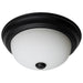 Flush Mount Nuvo 60-127 2 Light - 11 Inch - Flush Mount - Matte Black Finish - Opal Glass Nuvo