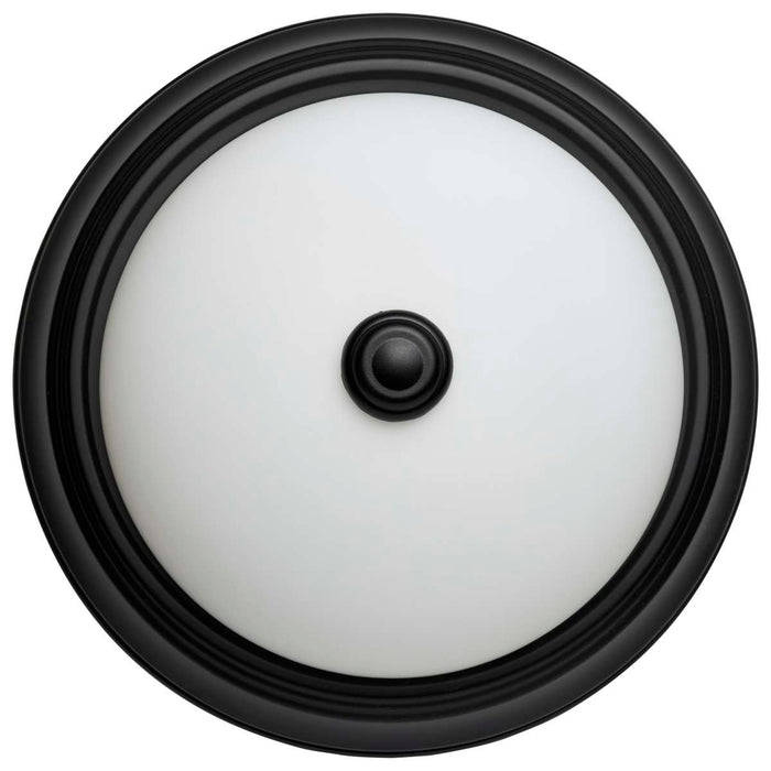 Flush Mount Nuvo 60-127 2 Light - 11 Inch - Flush Mount - Matte Black Finish - Opal Glass Nuvo